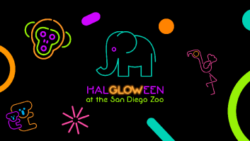 HalGLOWeen