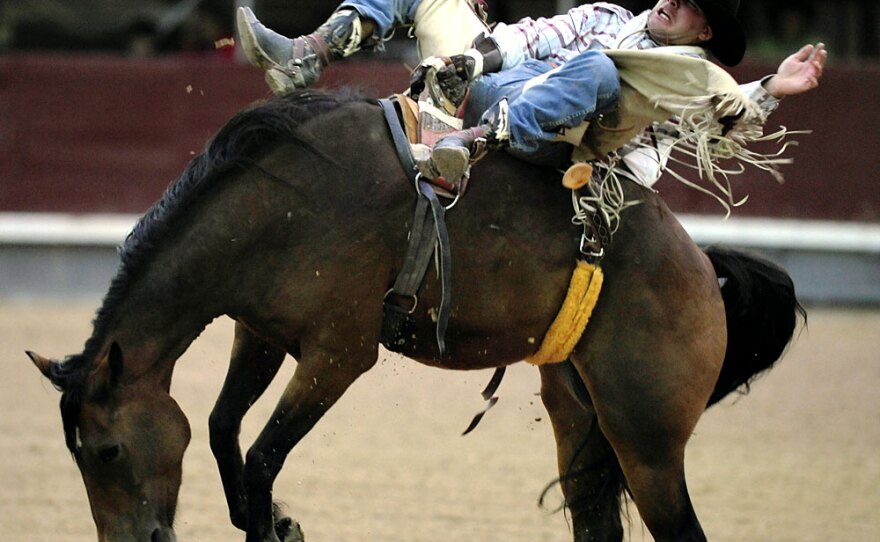 An American cowboy rides bareback during a rodeo at Las Ventas bullring in Madrid last month. Dozens of top rodeo cowboys from the U.S. have taken their show to Europe.