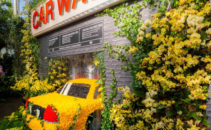 Mr. Flower Fantastic's installations pull from his childhood growing up in New York City — like this car wash. The taxi is made of both real and synthetic carnations.