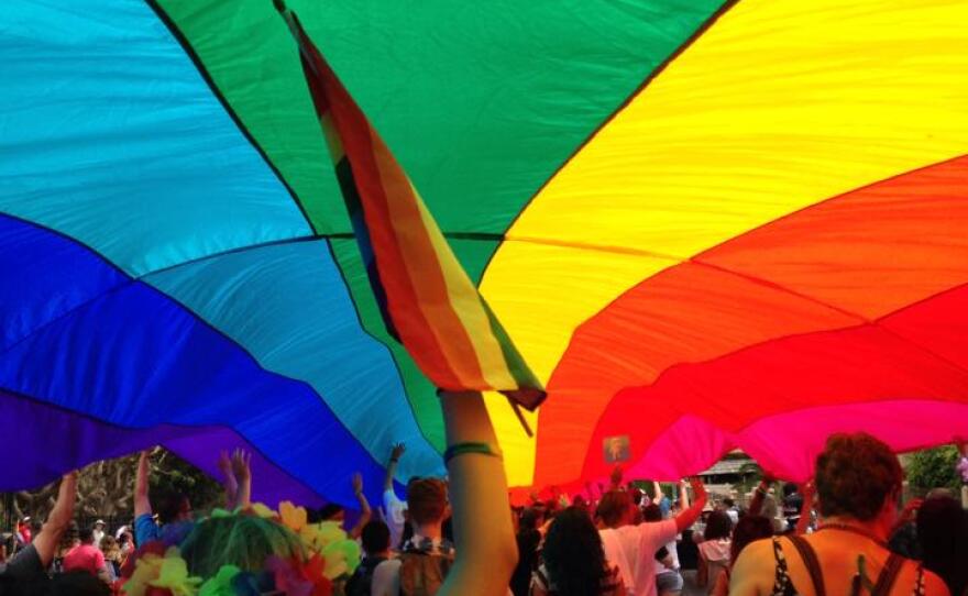 LGBT pride flag covers a Hillcrest street during the San Diego Pride Parade, July 19, 2014.