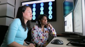 Carole Ho and Shehnaaz Suliman, Genentech scientists working on a clinical trial to test a potential treatment for Alzheimer's disease, review data on the computer.