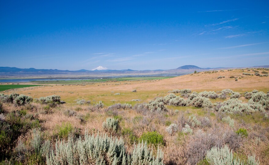 The Segregation Center was located in the Tule Lake Basin, where irrigated fields still butt up against dusty land, interrupted by scrub brush and dramatic outcroppings