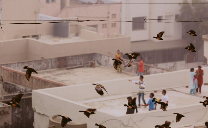 A rooftop perch is perfect for kite-flying.
