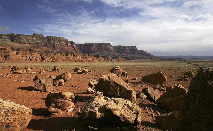 The Vermillion Cliffs National Monument hosts not only the vivid hues of the sunset, but a winged visitor too: the California condor, which conservationists hope will find a more hospitable home here.