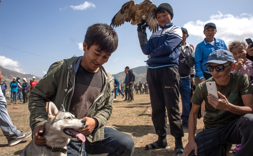 Kyrgyz teenagers pose with hunting dogs and eagles that are part of the Nomad Games.