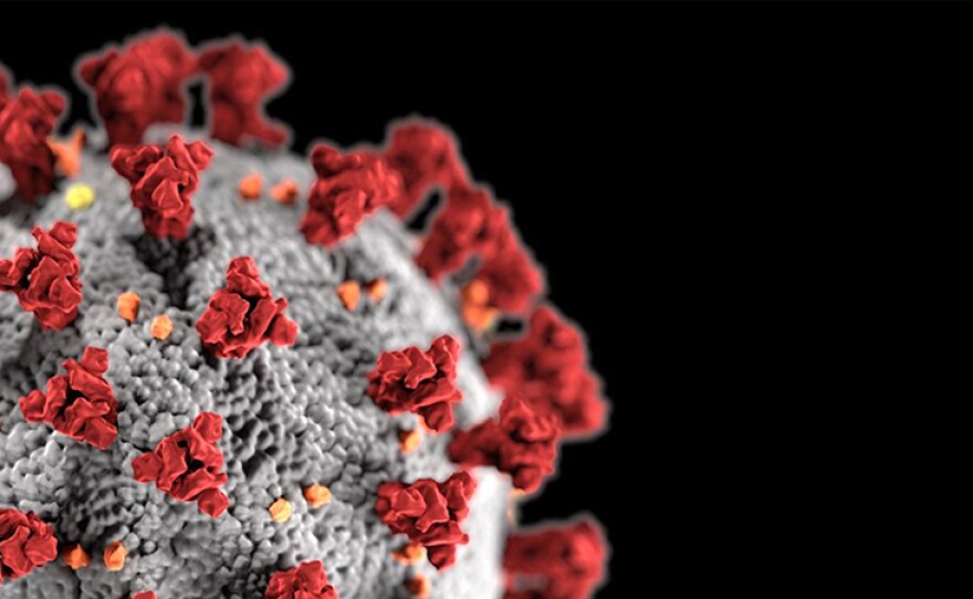 Illustration of coronavirus structure.