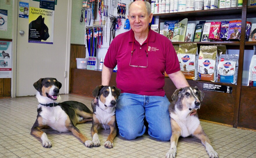 Phillip Dupont says losing his original dog Melvin (far right), was very hard, but Ken (far left) and Henry — two clones made from Melvin's skin cells — have helped a lot with the grief. The dogs' slightly different markings reflect differing environmental influences.