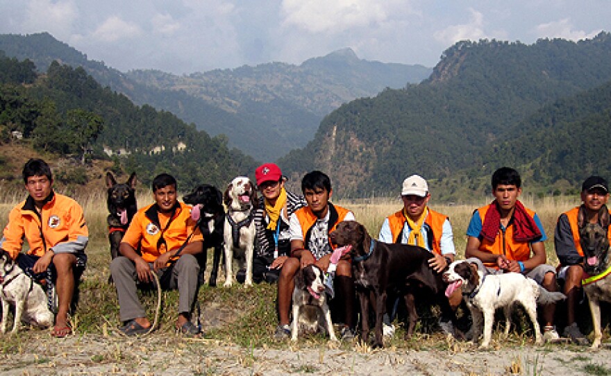 The team with SAR Dogs Nepal performs many search operations in the Himalayas. Last year they rescued five foreign trekkers and about 200 Nepalis.