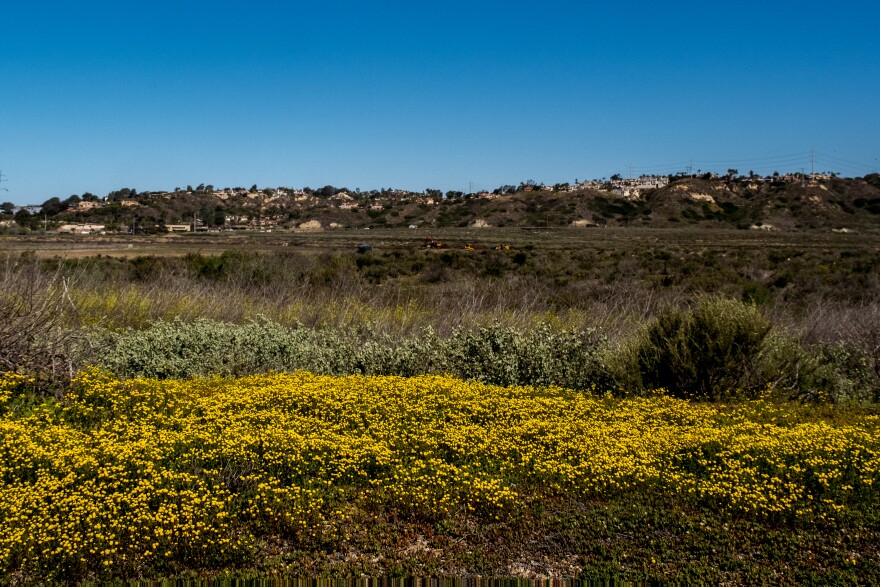 View looking North of the San Dieguito River, Del Mar, March 23, 2022.