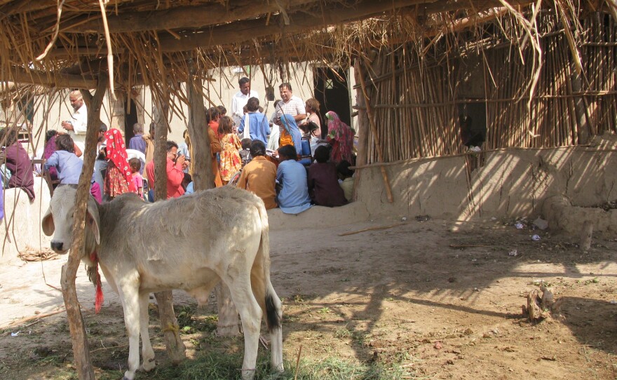When a class is held in a cowshed, a cow or two will inevitably attend.