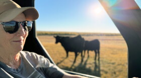 Katie Baltzor rides her side-by-side among the black angus cattle she raises near her home outside of Hines, Oregon.