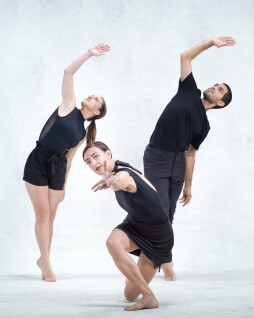 LITVAKdance