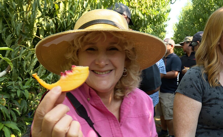 Host Nan Sterman goes on a fruit tasting tour in the experimental orchard of internationally renowned Zaiger Genetics, Modesto, Calif.