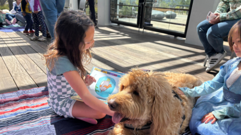 Reading to Dogs