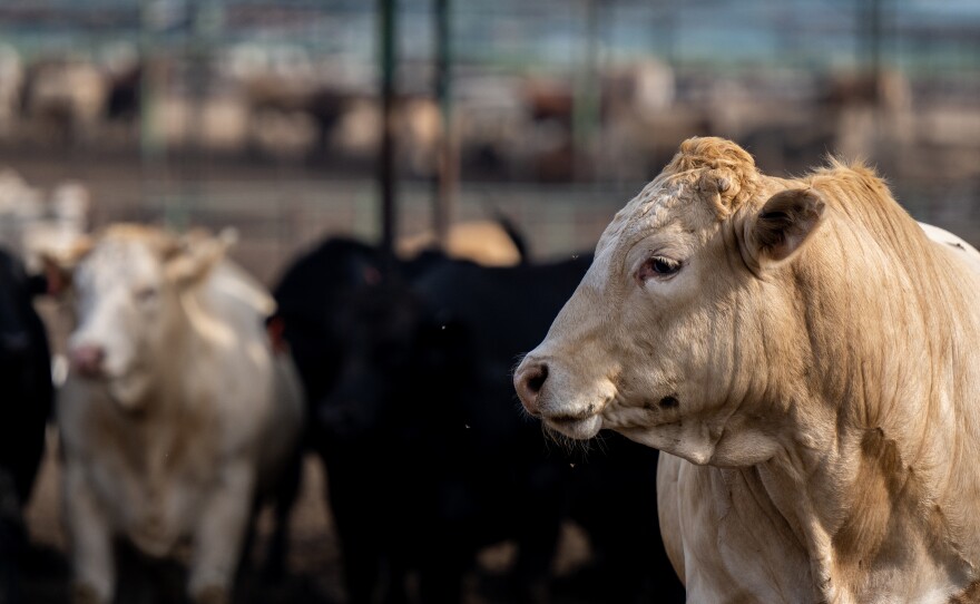 A new report from the Environmental Working Group finds some of the USDA's "climate-smart" farming practices getting taxpayer dollars likely don't reduce emissions.