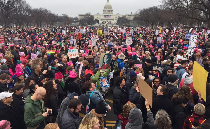 Demonstrators protest on the National Mall in Washington, DC, for the Women's March on Washington.