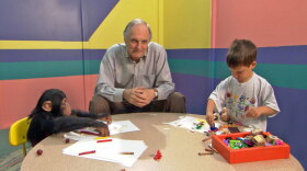 Alan Alda sits at a table with a young boy and chimpanzee. Alda hosts and narrates "The Human Spark," a search for what makes us human. 