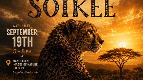 3rd Annual Cheetah Soirée