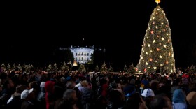 Christmas tree at the White House