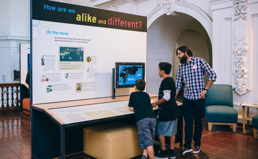 Race: Are We So Different? exhibit at the Museum of Us. Undated photo.