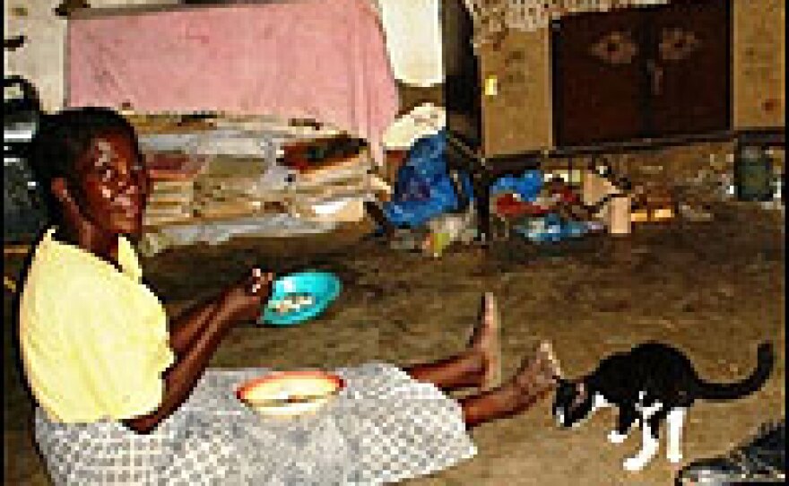 The Phiri family's cat, Lion, begs for the fish on their dinner plates. He fends for himself, eating vermin in the house and fields.