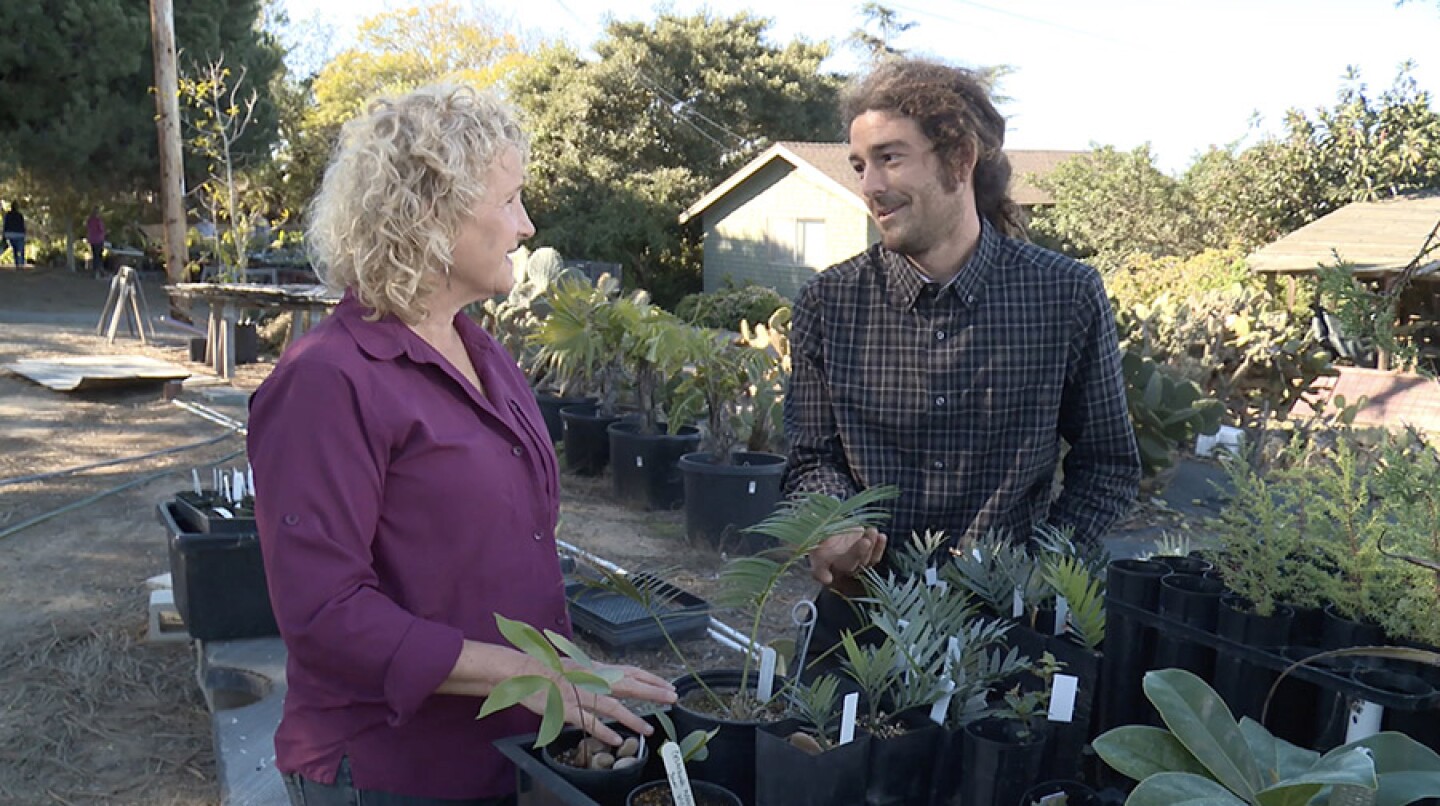 Host Nan Sterman and Director of Horticulture at San Diego Botanic Garden, Tony Gurnoe, in the nursery.