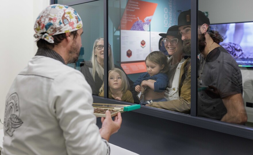 The Cacao of Excellence's laboratory is housed within the Chocolate Experience Museum in Perugia, Italy, which allows visitors to observe the work of the researchers and technicians firsthand.