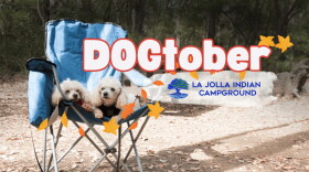 Dogtober