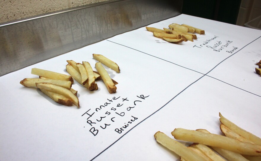 Michigan State's researchers cooked up two batches of fries to compare bruising in traditional, non-GMO potatoes (left) and GMO potatoes (right).