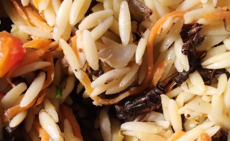 Orzo with organic cricket nymphs