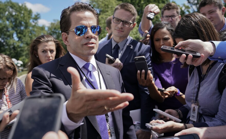 Anthony Scaramucci's financial disclosure form shows assets of up to $85 million.
