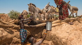 During dry season in Northern Kenya, the desperate need for water has forged an extraordinary relationship between man and animal: the Samburu sing from inside the wells, and the herds know the voice of their family.