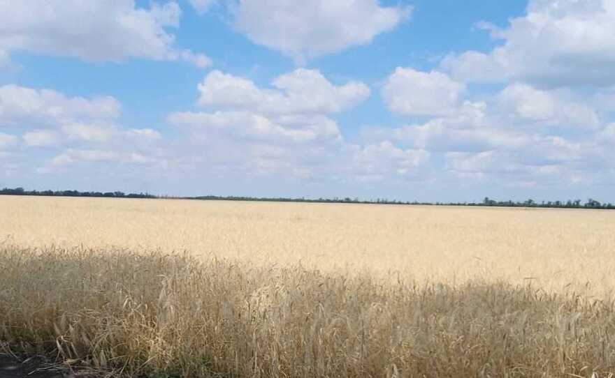 A Ukrainian officer described the terrain north of Kherson as "very hard, it's open ground...the enemy can detect you very well, so it's tricky."