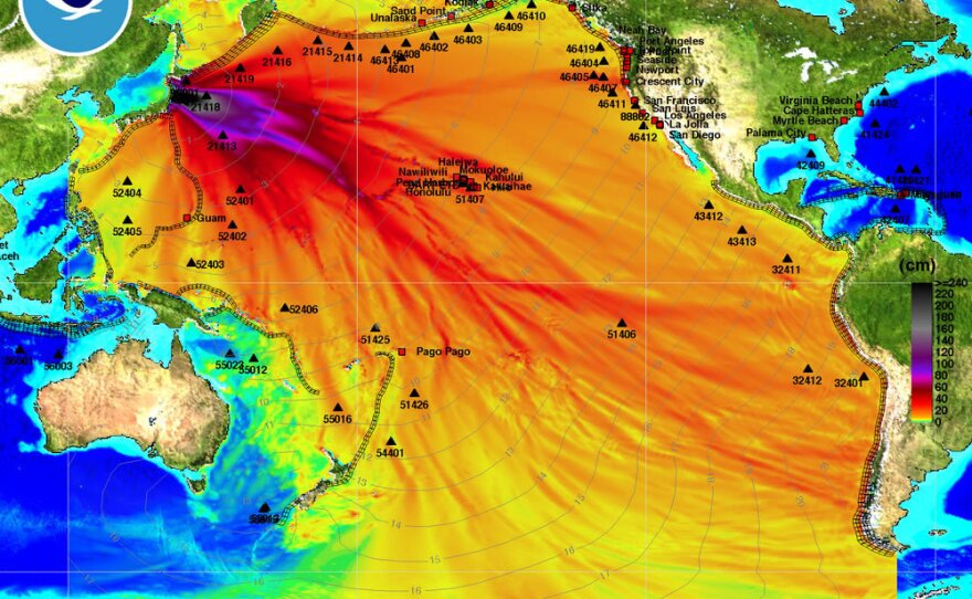 This chart from the National Oceanic and Atmospheric Administration shows the tsunami's expected path across the Pacific Ocean. The dark black and purple indicate the highest rise in sea level. The light gray lines indicate the tsunami wave's expected arrival time. <a href="http://media.npr.org/assets/news/2011/03/11/tsunami-energy-plot.jpg">View high-res version.</a>