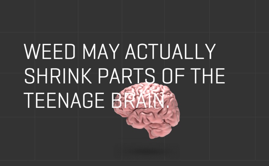 Colorado's "don't be a lab rat" campaign tries to make the point that we don't know what marijuana does to the teenage brain.
