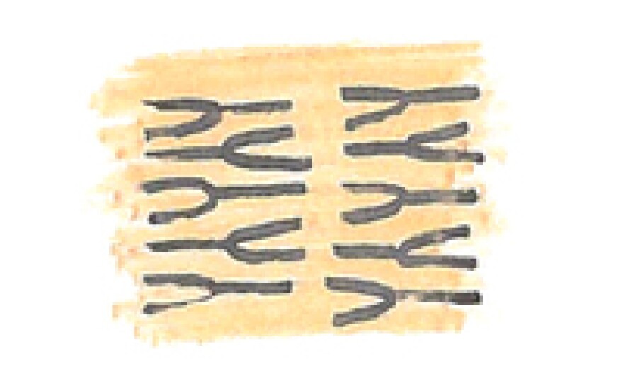 Illustration of triglycerides tightly packed within chocolate