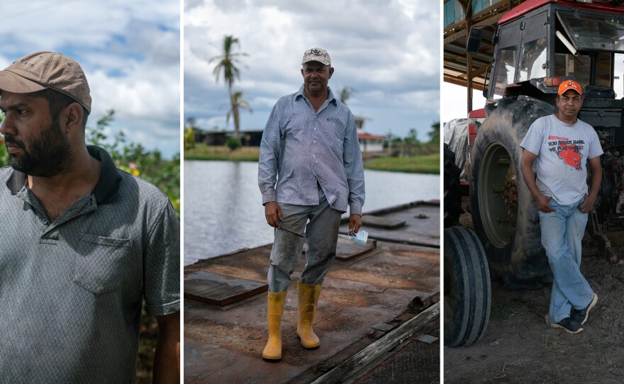 This summer, unprecedented floods left farmlands along Mahaica and Mahaicony creeks under feet of water for months. Surendra Kiritpal (left) poured his money into his fields before the flood hit and can't afford to replant. Haripaul Bhagwamdeo (center) lost 20 cattle and all his fruit trees. Talesh Gerjah (right) called the flood an eye-opener.