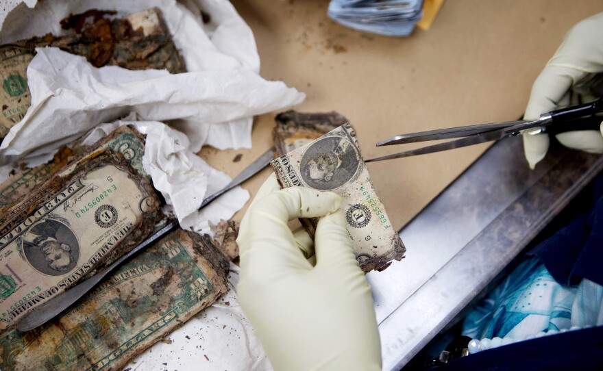 Cash Back Guarantee: The U.S. Redeems Damaged Bills Because The Dollar Depends On It