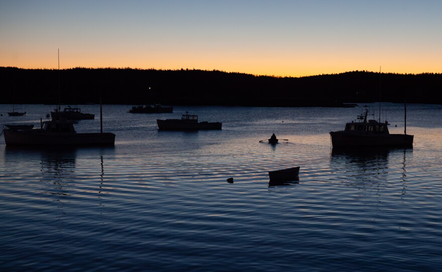 A lobsterman paddles out to his boat in a harbor in Maine. Climate change is disrupting ways of living with, and from, the ocean.