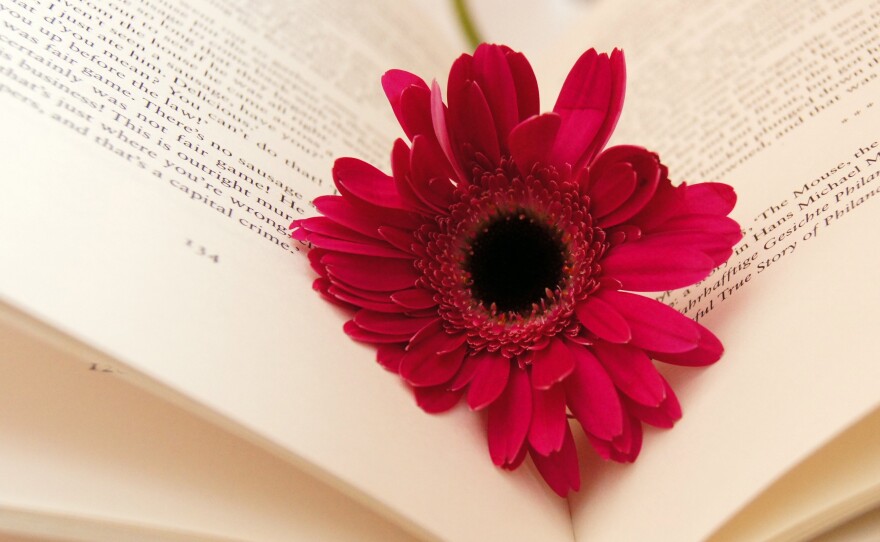 Yes, it <em>is</em> Valentine's Day â but we like romance novels all year 'round.