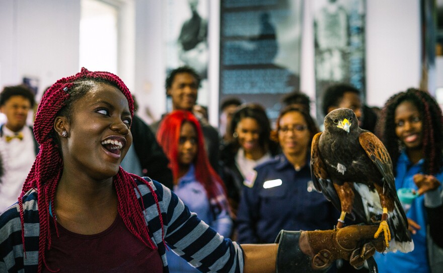 Cyriela Batou, 15, is the first student brave enough to hold a hawk named Sky. She screams when the hawk flaps its wings, but says later the experience made her happy and she'd do it again.
