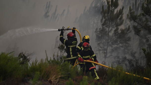 Firefighters spray water in a burning forest near Lacanau, southwestern France, Saturday, July 25, 2026.