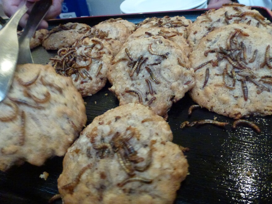 Oatmeal Worm Cookies.