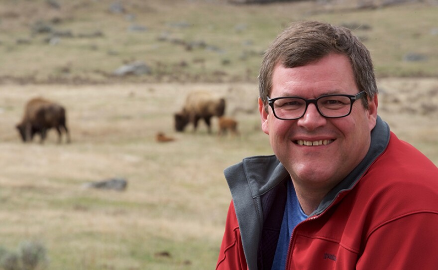Kirk Johnson with bison and calves in the background, Yellowstone National Park.