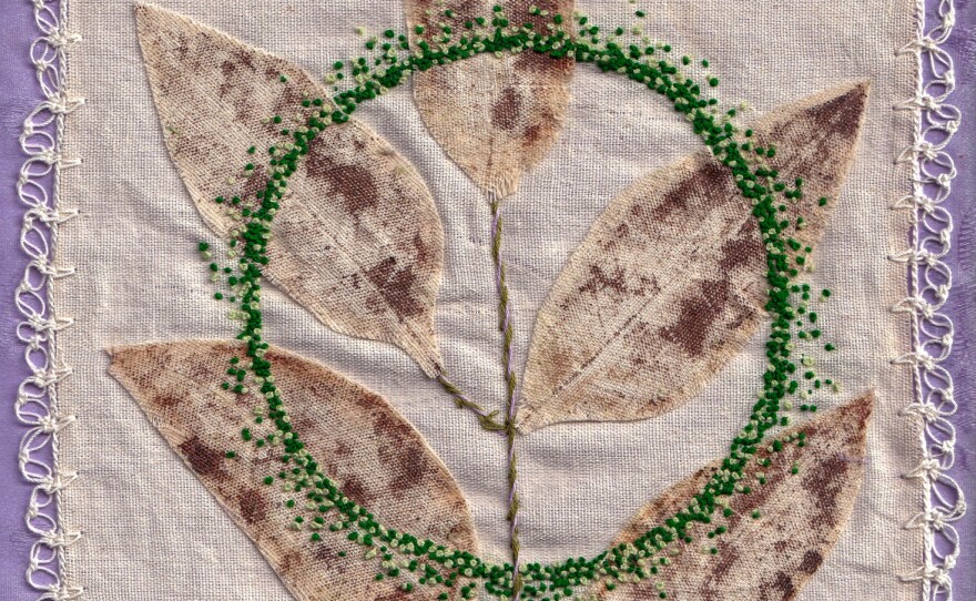 Muicle leaves are used and recommended by midwives for women who suffer from anemia during their pregnancies. The leaves are drunk in tea.
