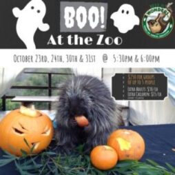 Boo-at-the-zoo-2021.jpg