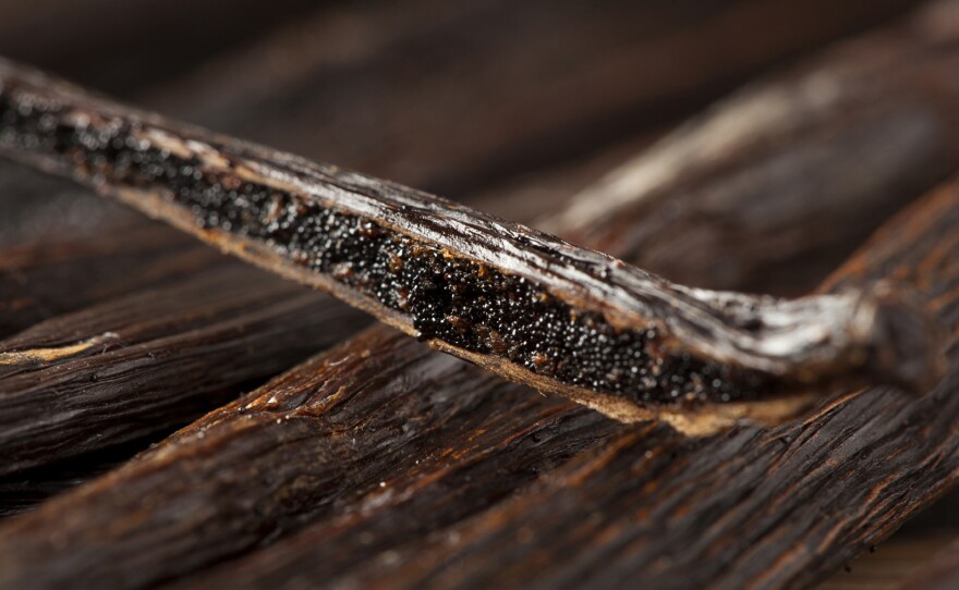 The vanilla bean, along with cacao, originated in the Americas and is now cultivated in several countries around the world. Here, the seeds inside the pod are shown.