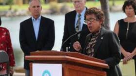 San Diego Community College District Chancellor Constance Carroll speaking at a press conference urging Gov. Jerry Brown to approve Senate Bill 850 in November 2014.
 