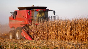 <p>For speculators, food is a commodity to trade, not eat.</p>