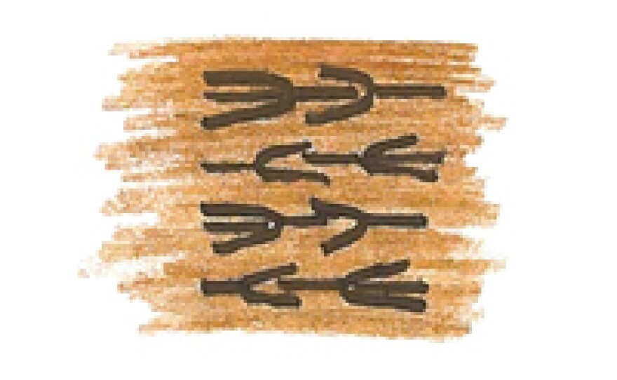 Illustration of richly intermeshed triglycerides inside chocolate